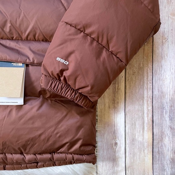 The North Face Men’s HMLYN Down Parka In Dark Oak - Picture 4 of 9